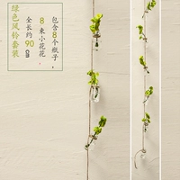 Зеленый колокольчик цветочный набор бутылок бутылки