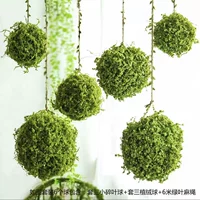 Набор из шести искусственных травяных шариков (6 метров пеньковой веревки с зелеными листьями в подарок)