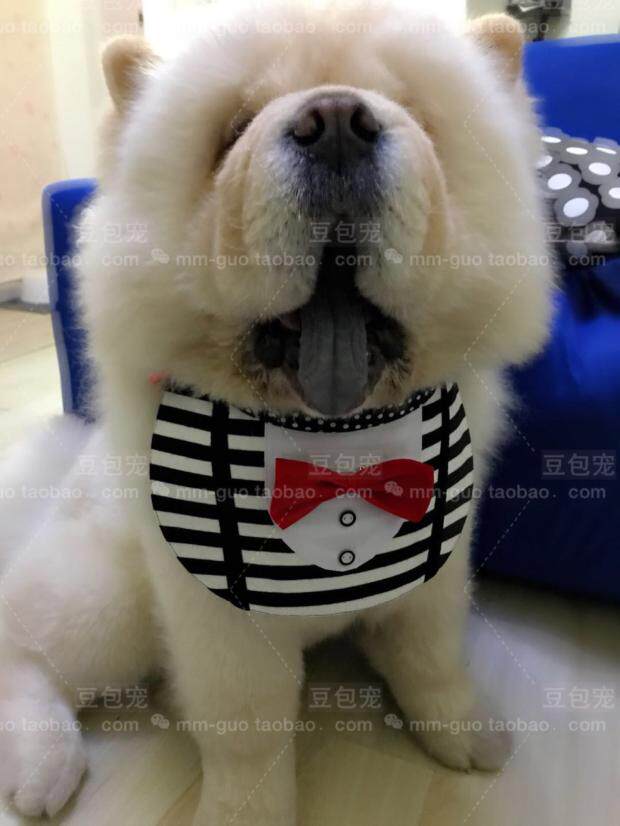 2018 (Master) Gentleman Style Big Dog Saliva Big Dog Bib Big Dog Bib Golden Retriever Chow Chow