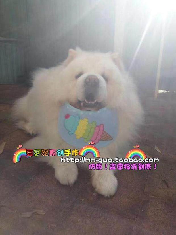 Bean bag pet original design big dog saliva towel big dog waterproof towel big dog bib bib