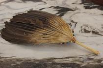 Republic of China  Row of Goose Fan fan Charcoal Stove Utensils Old Utiliti tea with fan-style Ignition Tea