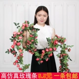 Симуляция розовая виноградная лоза.