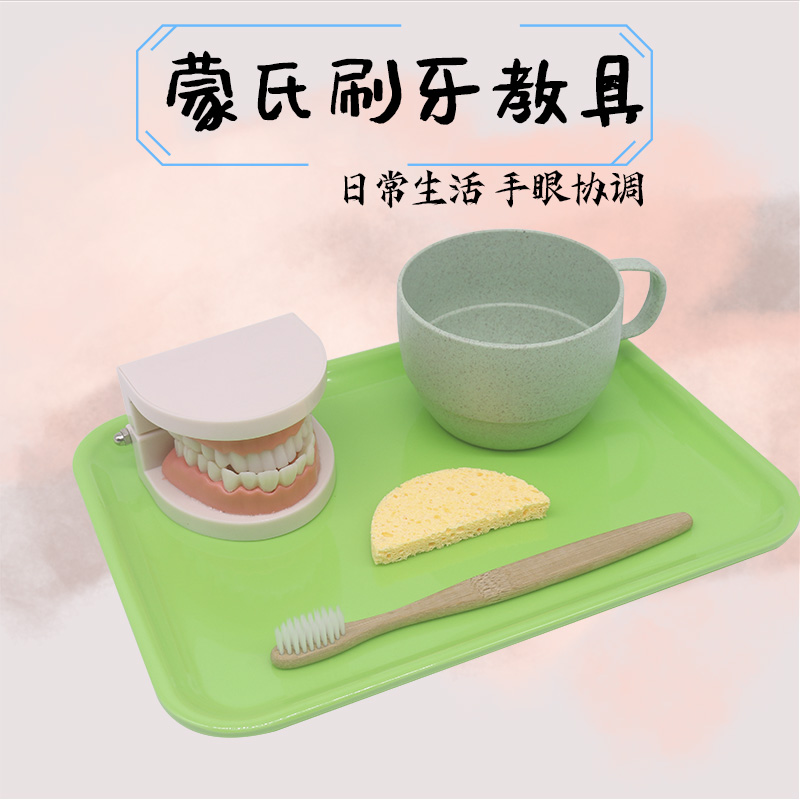 Montservers' teaching aid for 2-year-old children's brushing and washing set to know the tooth model infant early education educational toy