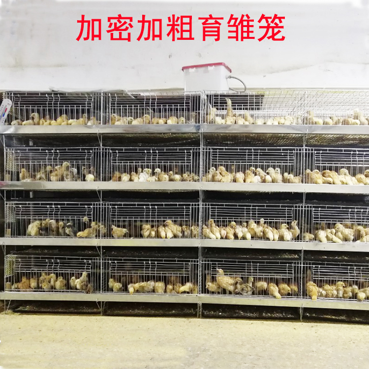 High quality bold encrypted chicken cage Chicken cage Brood cage 4-layer integrated vertical chicken cage Breeding chicken cage Chicken cage