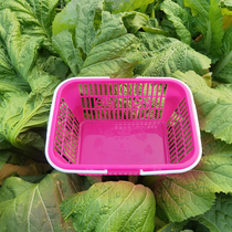 3kg Strawberry Basket plastic picking basket rectangular red basket portable Bayberry basket disposable plastic fruit basket