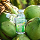 Yuanfang primitivism NFC coconut water 420ml*6 bottles of ingredients clean and sweet Thai Dannoen Saduo electrolytes