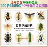 Насекомого бур заличный третий класс Elevay Curricium чтение книги «Живопись» Полная американская живопись издания первого курса детской книжки 3-6-летнего второго курса Учитель внеклассных книг Рекомендует 0 & MDASH; 1-2-4-5 Книга рассказов детского сна.