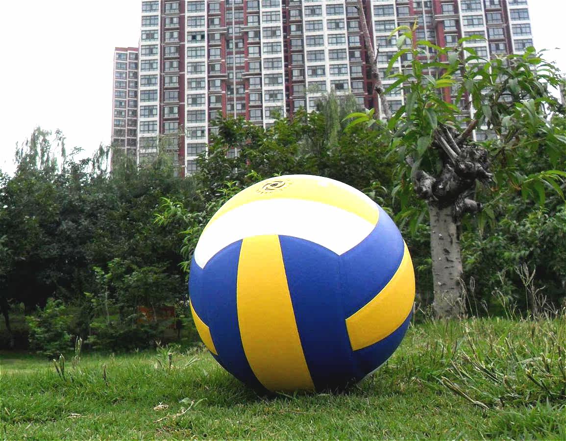 Ballon de volley-ball - Ref 2011819 Image 8