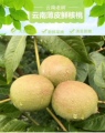 云南高山特产店