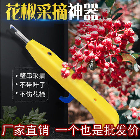 (Export Quality) New extraction of Sichuan peppercorns Special theorizer to remove Sichuan peppercorns Divine Ware Prickly Pepper to be manually time-saving