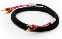 French Apertura (precise) Kami (3 m) horn line