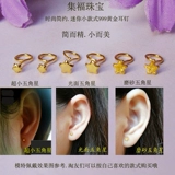 999 Foot Golden Pentagon Pure Grow