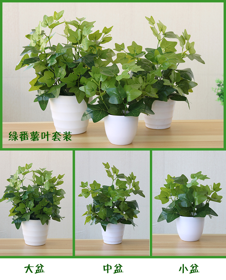 Cây mô phỏng trang trí trong nhà và ngoài trời nhựa giả chậu trồng củ cải xanh trồng trong chậu mô phỏng hoa và cây web cây cà phê hoa giả - Hoa nhân tạo / Cây / Trái cây bình hoa mộc lan giả