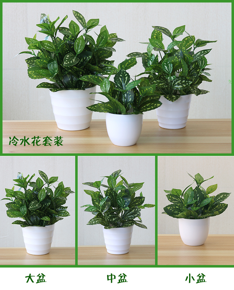 Cây mô phỏng trang trí trong nhà và ngoài trời nhựa giả chậu trồng củ cải xanh trồng trong chậu mô phỏng hoa và cây web cây cà phê hoa giả - Hoa nhân tạo / Cây / Trái cây bình hoa mộc lan giả