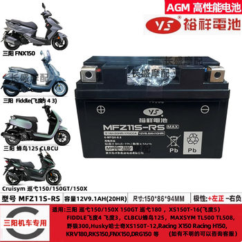 Sanyang fnx150 (xs150t-2b-2a-8 fit xs125t-16c-10 hummingbird tini battery