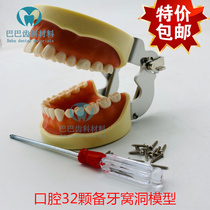 Dental oral teaching Model 32 teeth preparation exercise model detachable teeth gingival students practice hole preparation