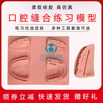 Dental stomatology practice surgical suture knot simulation skin wound practice model