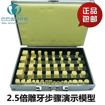 Dental Oral Section Students teaching aids to practice teeth engraving 2 5 times sculpted tooth step presentation model molds