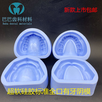 Dental oral teaching new full-mouth silicone female mold standard with dental female mold making plaster mold
