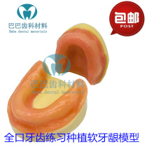 Dental oral edentulous jaw planting practice model with silicone soft gums imitation bone practice practice planting