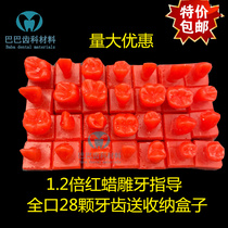 Dental students practice engraving 2 times 4 times tooth wax model 1 2 times engraving model full mouth 28 pieces