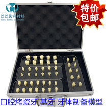 Oral porcelain tooth abutment preparation demonstration model tooth restoration inlay Crown full Crown cavity morphology