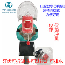 Oral simulation head mold preparation tooth practice root canal open pulp preparation tooth restoration veneer tooth model simple head mold strap