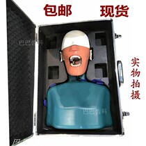 Dental Oral Head Model Dental Teaching Model Dental Bionic Shoulder Body Head Model Preparation Teeth Practice Banding Head Model