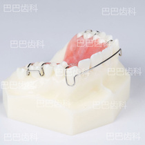 Dental Holder Demonstration Model Teeth Model Oral Correction Teaching Oral Material Series Private