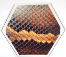 Xu Xian erhu imitation hides eight generations of hemp noodles imitation python skin and snakeskin can be soaked in water and three pieces to send glue