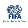 FIFA正品足球服