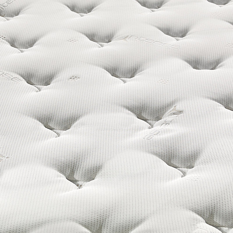 ��������yl-��plus