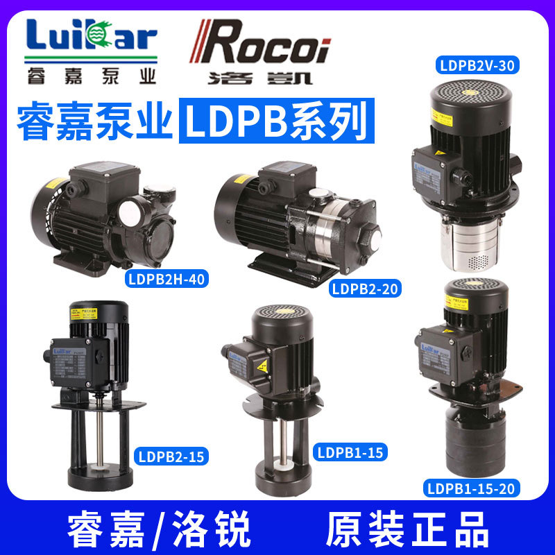 Machine Tool Cooling Water Pump Ldpb1V/2H-15-18-20-25-30-40Tp/Sp Horizontal Luoruijia Multi-Stage Pump