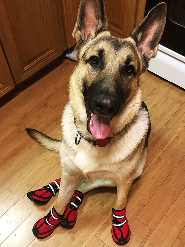 Летняя обувь, ботинки, нескользящий водонепроницаемый шнурок-держатель, подходит для подростков, мягкая подошва