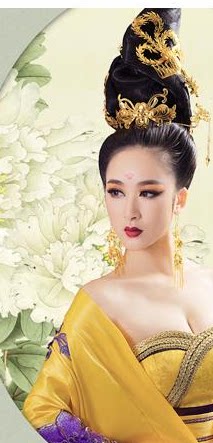 Extension cheveux - Chignon - Ref 236104 Image 5