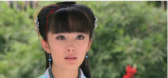 Extension cheveux - Chignon - Ref 229212 Image 5