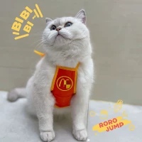 Meow Dangwen выпекать номер S Номер s в течение 7 фунтов