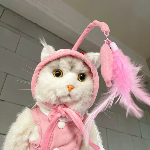 Шапка, игрушка, забавный динозавр, аксессуар для волос, шлем, избавление от скуки, домашний питомец, кот