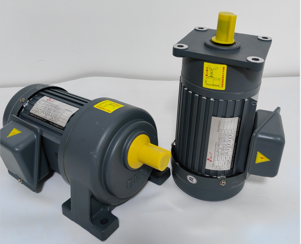 Taili 380V 水平型三相可変周波数ギア減速機モーター 1500W 2200W 7500W 垂直型小型モーター