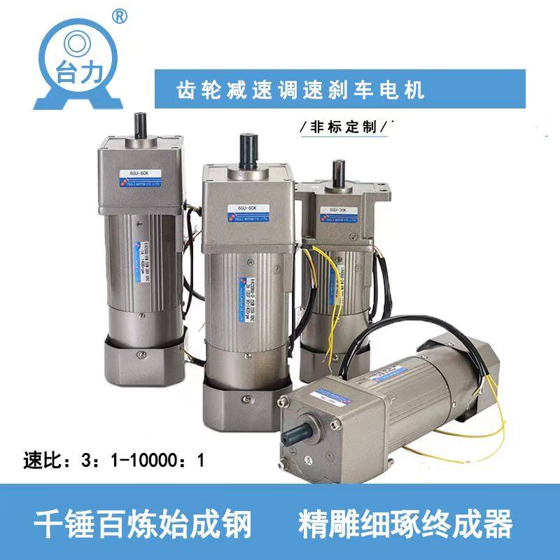 Bench Force Throttle Motor TAILI AC 220V Gear Reduction Positive Reversal Micro Motor 25W120W250W-Taobao