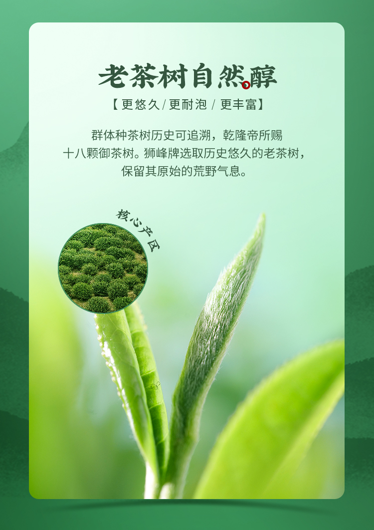 【中国直邮】 狮峰茶叶 2025新茶上市绿茶雨前龙井茶叶 杭州春茶 250g/包
