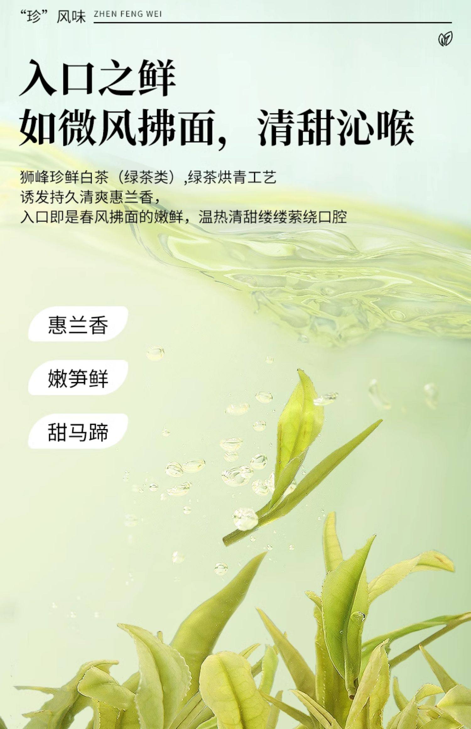 【中国直邮】 狮峰茶叶 2025新茶安吉珍鲜安吉白茶 明前特级白茶叶口粮珍稀绿茶春茶 100g/包