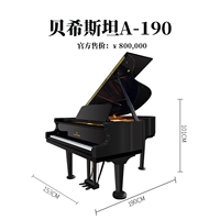 C.B BECHSTEIN A190