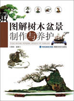 (Genuine book can be invoiced) Illustrated tree bonsai production and maintenance Huang Xiang