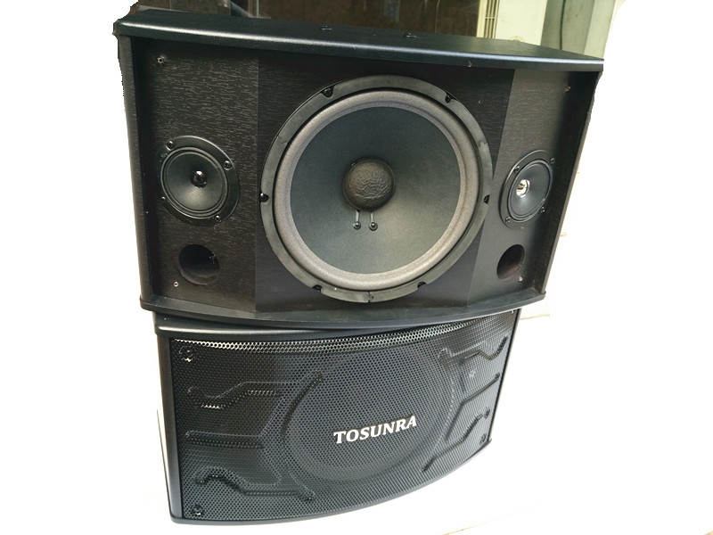tosunra speaker price