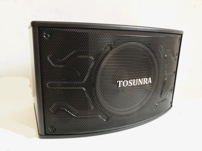 tosunra speaker