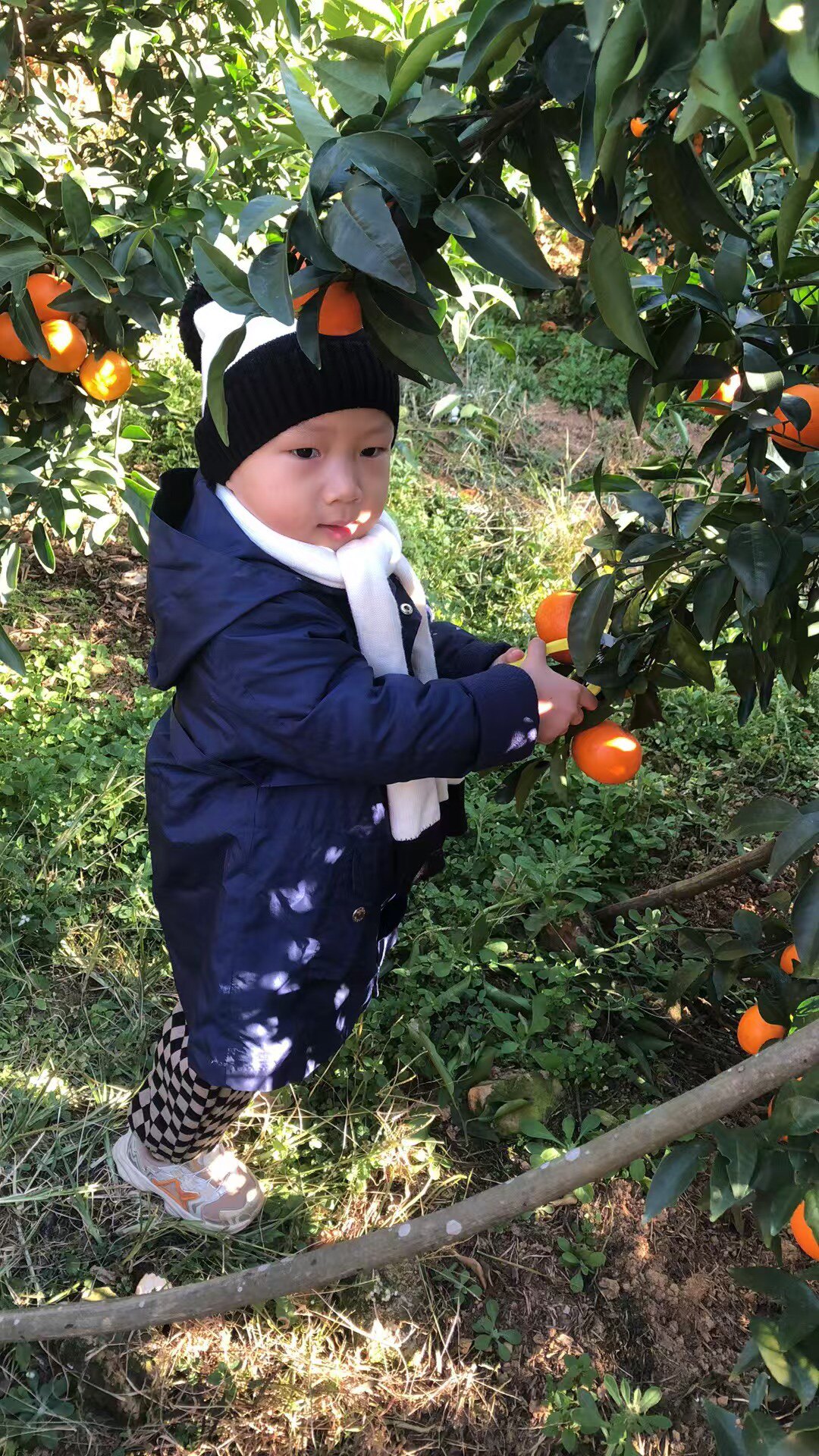 衣里伊佑