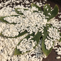 Thai flavor long glutinous rice 500 gr packs rice dumplings white sticky rice (eat more grocery good health)