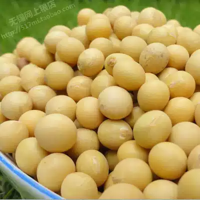Special medium soybeans 500g (miscellaneous grains) non-genetically modified small soybeans Northeast soybeans