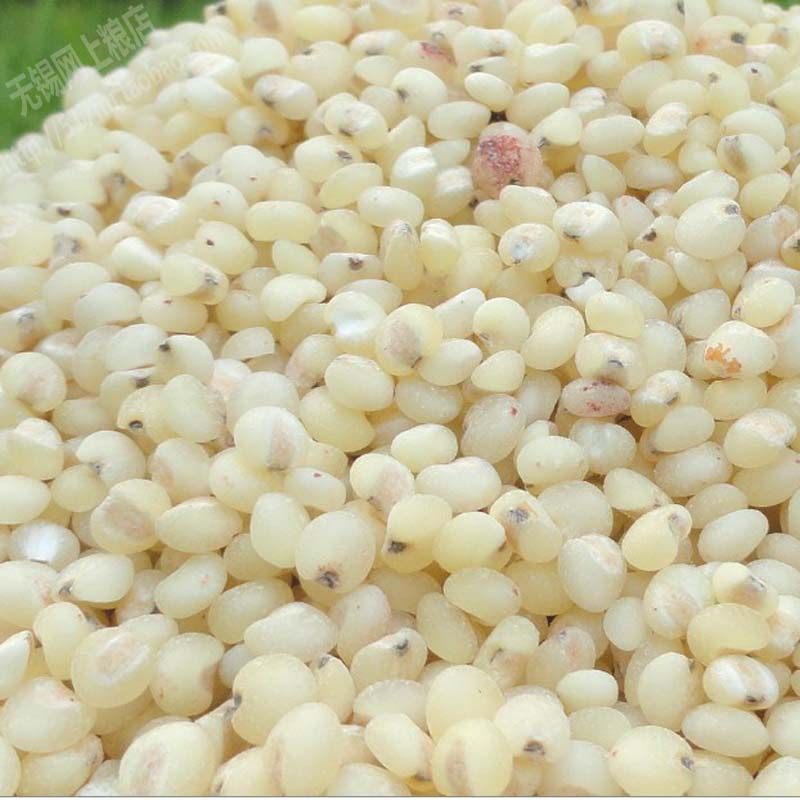 Northeast sorghum rice 500g (eat more grains, good health)Wuxi online grain Store